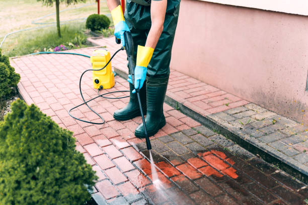 Best Animal Enclosure Cleaning  in Wyandanch, NY